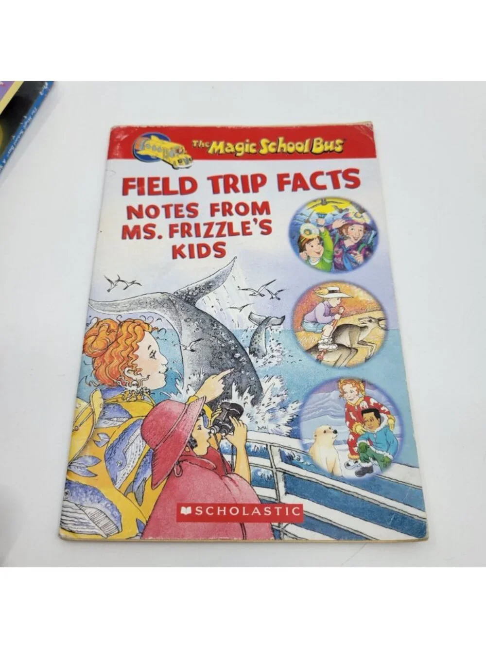 MAGIC SCHOOL BUS Lot of 7 Science Chapter Books - CB022